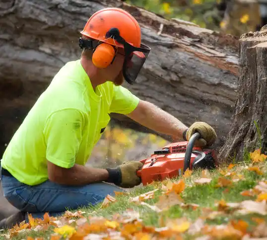 tree services Leadington